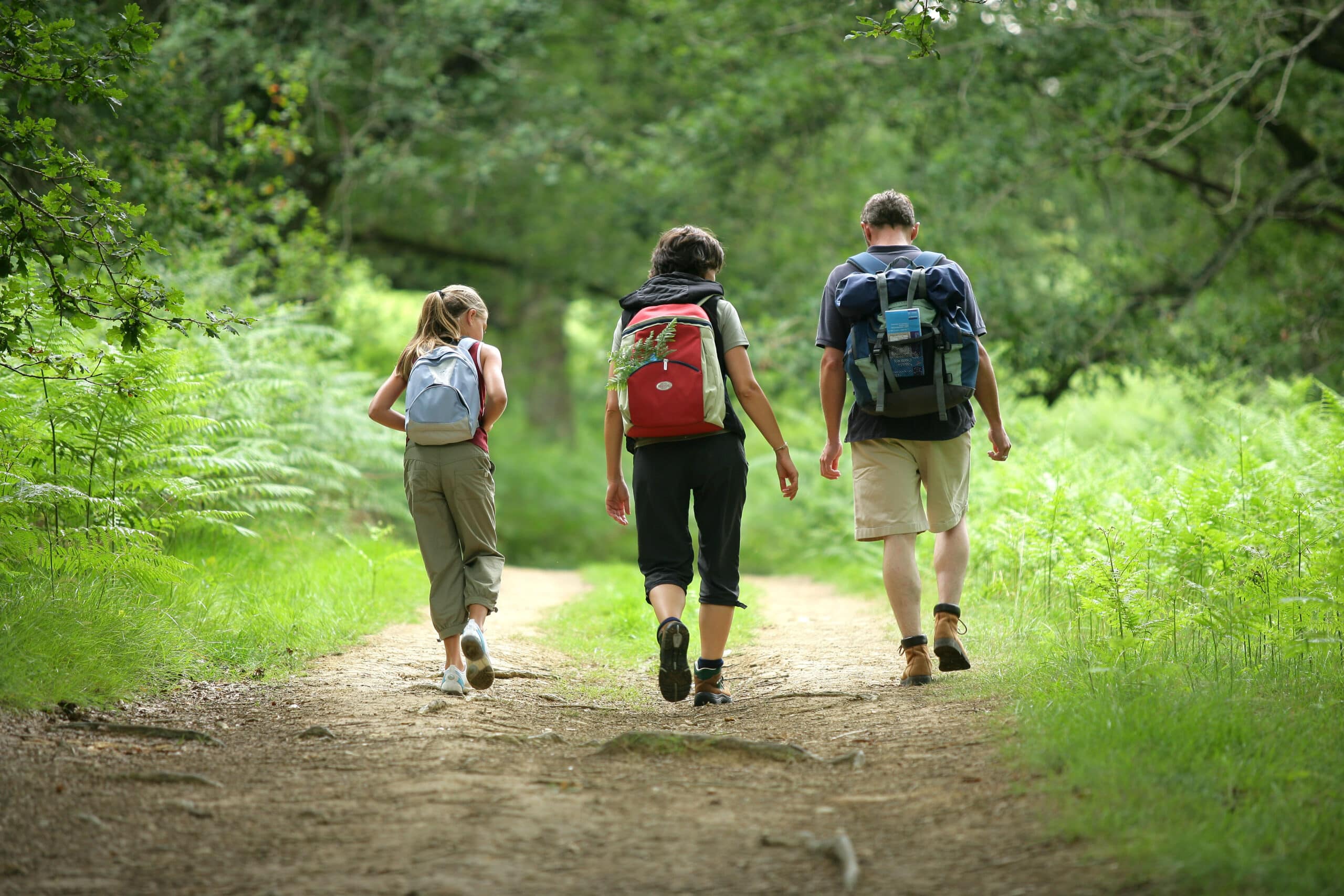 Camminata giapponese per il cuore