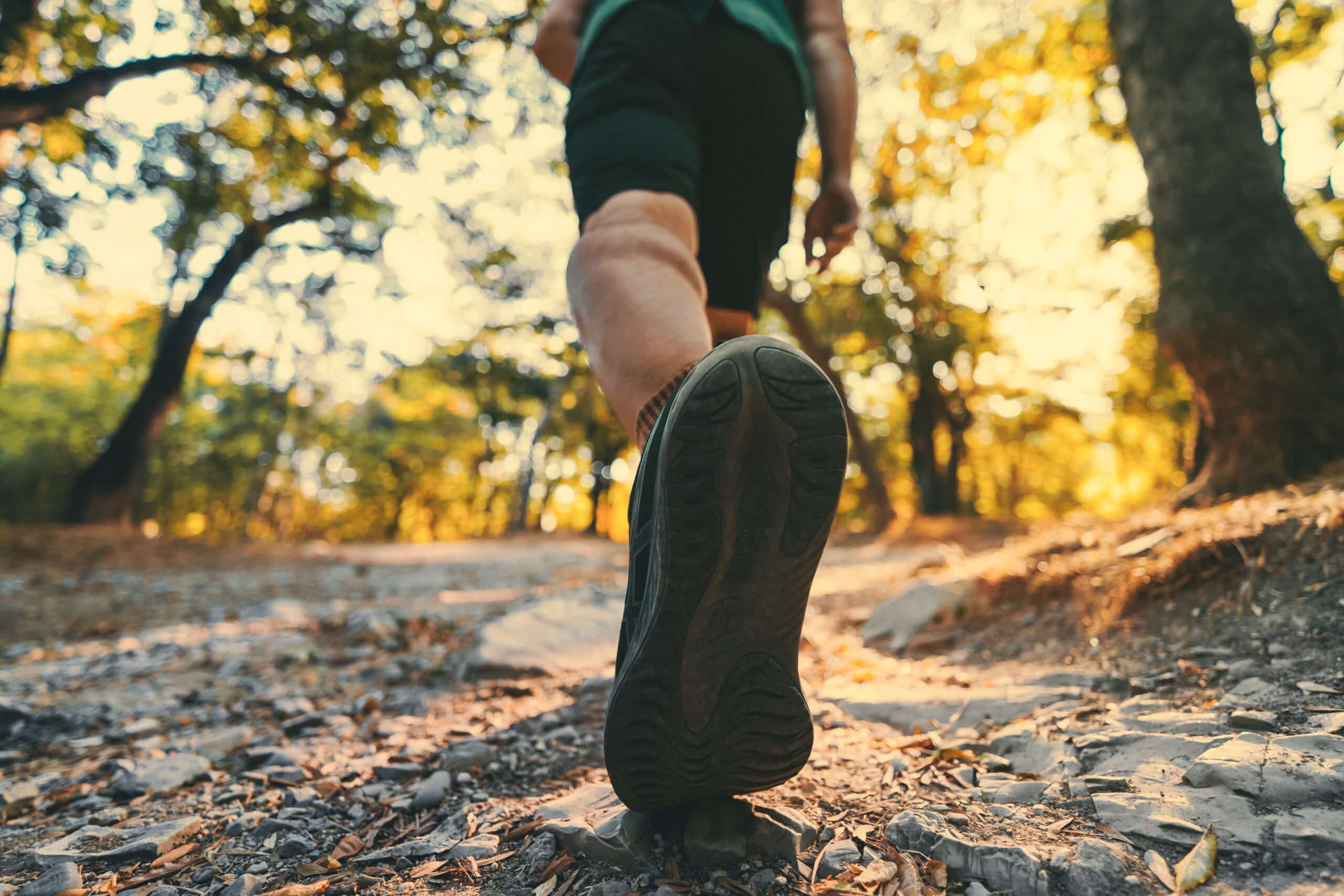 Svolgimento Allenamento metabolico