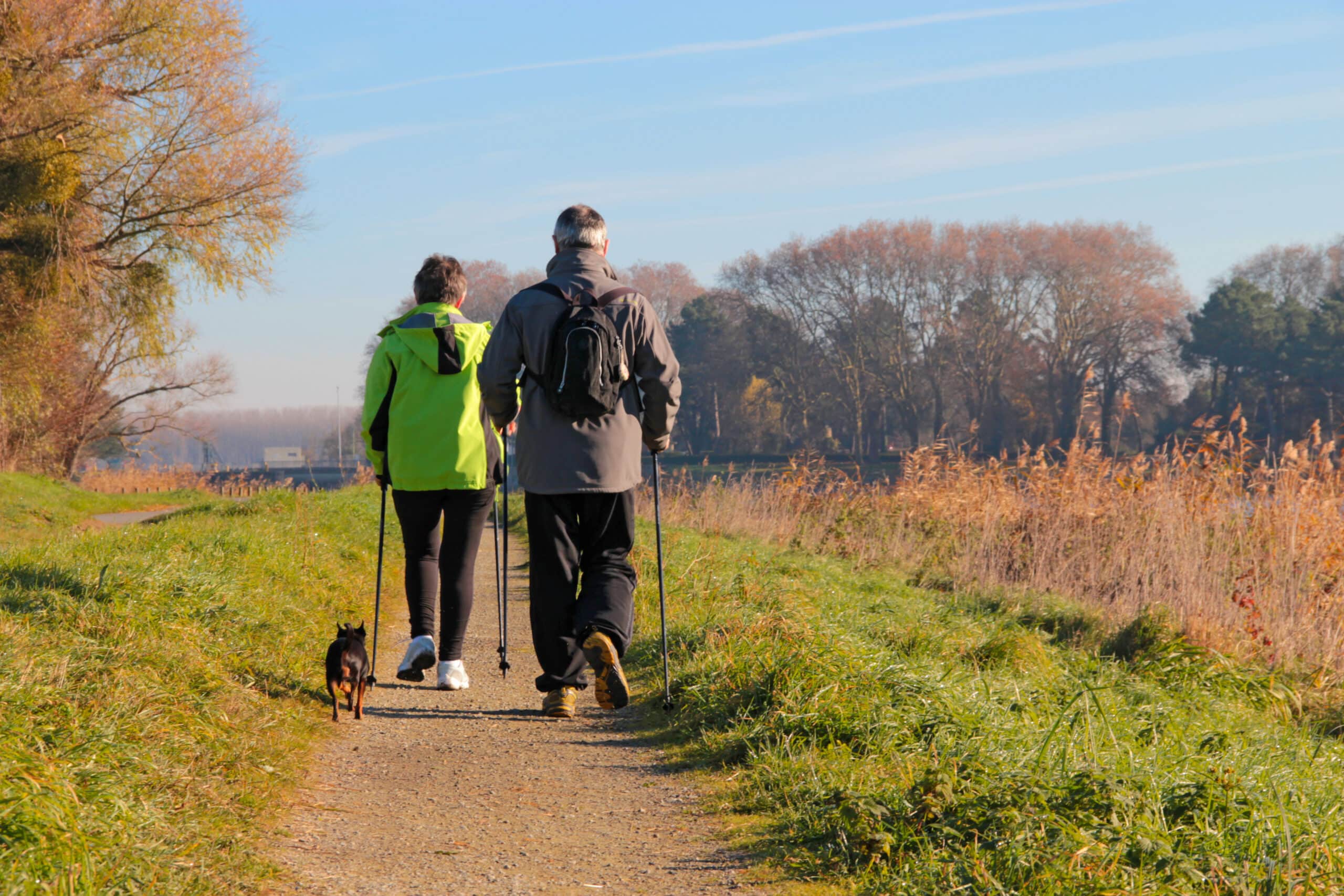 Nordic walking per anziani con problemi alle ginocchia
